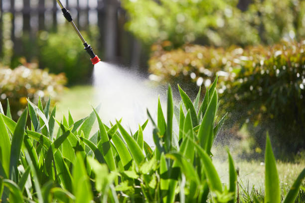 Tamper-Resistant Bait Stations for Rodents in Brockway