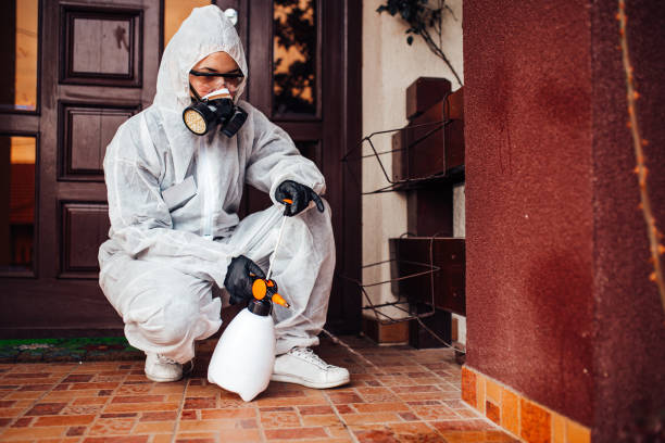 Attic and Crawl Space Rodent Treatment in Brockway